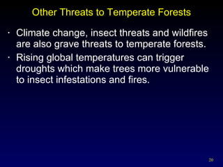 Other Threats to Temperate Forests Climate change, insect threats and wildfires are also grave threats to temperate forests. Rising global temperatures can trigger droughts which make trees more vulnerable to insect infestations and fires. 