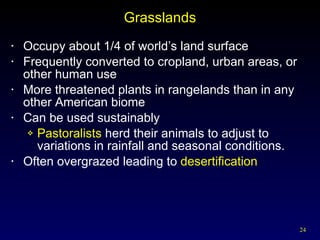 Grasslands Occupy about 1/4 of world’s land surface Frequently converted to cropland, urban areas, or other human use More threatened plants in rangelands than in any other American biome Can be used sustainably Pastoralists  herd their animals to adjust to variations in rainfall and seasonal conditions. Often overgrazed leading to  desertification 