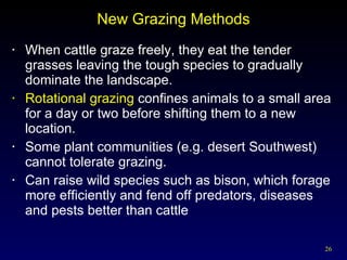 New Grazing Methods When cattle graze freely, they eat the tender grasses leaving the tough species to gradually dominate the landscape. Rotational grazing  confines animals to a small area for a day or two before shifting them to a new location. Some plant communities (e.g. desert Southwest) cannot tolerate grazing. Can raise wild species such as bison, which forage more efficiently and fend off predators, diseases and pests better than cattle 