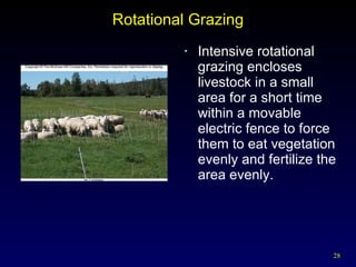 Rotational Grazing Intensive rotational grazing encloses livestock in a small area for a short time within a movable electric fence to force them to eat vegetation evenly and fertilize the area evenly. 