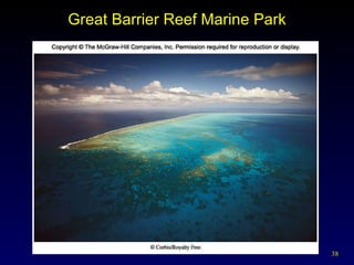 Great Barrier Reef Marine Park 