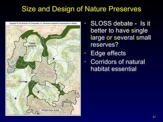 Size and Design of Nature Preserves SLOSS debate -  Is it better to have  s ingle  l arge  o r  s everal  s mall reserves? Edge effects Corridors of natural habitat essential 