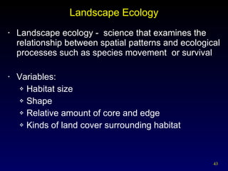 Landscape Ecology Landscape ecology -  science that examines the relationship between spatial patterns and ecological processes such as species movement  or survival Variables: Habitat size Shape Relative amount of core and edge Kinds of land cover surrounding habitat 