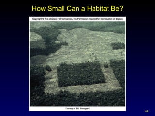 How Small Can a Habitat Be? 