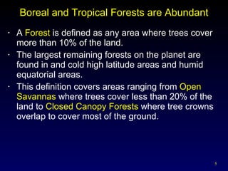 Boreal and Tropical Forests are Abundant A  Forest  is defined as any area where trees cover more than 10% of the land. The largest remaining forests on the planet are found in and cold high latitude areas and humid equatorial areas. This definition covers areas ranging from  Open Savannas  where trees cover less than 20% of the land to  Closed Canopy Forests  where tree crowns overlap to cover most of the ground. 