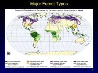 Major Forest Types 