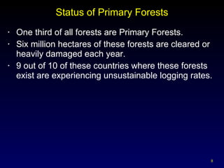 Status of Primary Forests One third of all forests are Primary Forests. Six million hectares of these forests are cleared or heavily damaged each year. 9 out of 10 of these countries where these forests exist are experiencing unsustainable logging rates. 