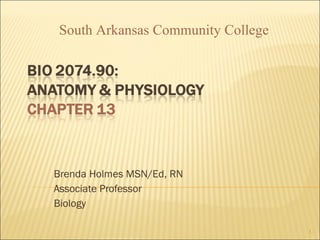 Brenda Holmes MSN/Ed, RN Associate Professor Biology South Arkansas Community College 
