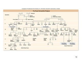 13
The Royal Hemophilia Pedigree
Generation
I
II
III
IV
V
VI
VII
George III
Edward
Duke of Kent
Prince Albert Queen Victoria
Louis II
Grand Duke of Hesse
Prince
Henry
BeatriceLeopoldFrederick Victoria
No hemophilia
III
German
Royal
House
Duke of
Windsor
King
George VI
Earl of
Mountbatten
Waldemar
Queen
Elizabeth II
Princess
Diana
William Henry
British Royal House
Prince
Charles
Anne Andrew Edward
Spanish Royal House
No evidence
of hemophilia
No evidence
of hemophilia
KingJuan
Carlos
Alfonso
King of
Spain
Gonzalo
?
JuanJamie
?
Alfonso
Queen
Eugenie
Leopold
Russian
Royal
House
Prussian
Royal
House
Prince
Sigismond
Henry
?
Anastasia
??
Viscount
Tremation
??
Prince
Philip
Margaret
King
Edward VII
King
George V
Alice Duke of
Hesse
MauricePrincess
Alice
Earl of
Athlone
Alexis
Czar
Nicholas II
Irene Czarina
Alexandra
No hemophilia
ArthurHelenaAlfred
Copyright © The McGraw-Hill Companies, Inc. Permission required for reproduction or display.
 
