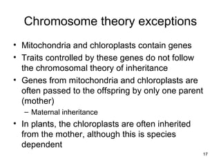 17
Chromosome theory exceptions
• Mitochondria and chloroplasts contain genes
• Traits controlled by these genes do not follow
the chromosomal theory of inheritance
• Genes from mitochondria and chloroplasts are
often passed to the offspring by only one parent
(mother)
– Maternal inheritance
• In plants, the chloroplasts are often inherited
from the mother, although this is species
dependent
 