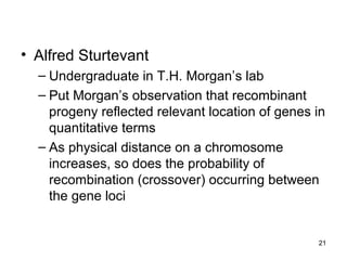 21
• Alfred Sturtevant
– Undergraduate in T.H. Morgan’s lab
– Put Morgan’s observation that recombinant
progeny reflected relevant location of genes in
quantitative terms
– As physical distance on a chromosome
increases, so does the probability of
recombination (crossover) occurring between
the gene loci
 