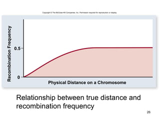 26
Relationship between true distance and
recombination frequency
Physical Distance on a Chromosome
0.5
0
RecombinationFrequency
Copyright © The McGraw-Hill Companies, Inc. Permission required for reproduction or display.
 