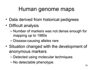 29
Human genome maps
• Data derived from historical pedigrees
• Difficult analysis
– Number of markers was not dense enough for
mapping up to 1980s
– Disease-causing alleles rare
• Situation changed with the development of
anonymous markers
– Detected using molecular techniques
– No detectable phenotype
 