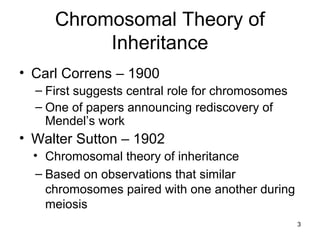 Chromosomal Theory of
Inheritance
• Carl Correns – 1900
– First suggests central role for chromosomes
– One of papers announcing rediscovery of
Mendel’s work
• Walter Sutton – 1902
• Chromosomal theory of inheritance
– Based on observations that similar
chromosomes paired with one another during
meiosis
3
 