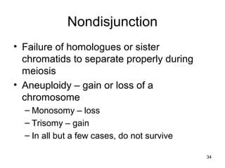 34
Nondisjunction
• Failure of homologues or sister
chromatids to separate properly during
meiosis
• Aneuploidy – gain or loss of a
chromosome
– Monosomy – loss
– Trisomy – gain
– In all but a few cases, do not survive
 