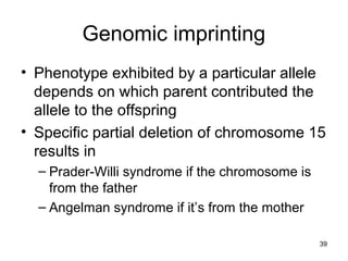 39
Genomic imprinting
• Phenotype exhibited by a particular allele
depends on which parent contributed the
allele to the offspring
• Specific partial deletion of chromosome 15
results in
– Prader-Willi syndrome if the chromosome is
from the father
– Angelman syndrome if it’s from the mother
 