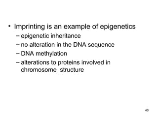 • Imprinting is an example of epigenetics
– epigenetic inheritance
– no alteration in the DNA sequence
– DNA methylation
– alterations to proteins involved in
chromosome structure
40
 