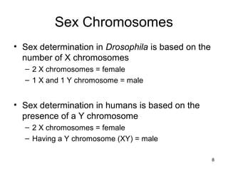 8
Sex Chromosomes
• Sex determination in Drosophila is based on the
number of X chromosomes
– 2 X chromosomes = female
– 1 X and 1 Y chromosome = male
• Sex determination in humans is based on the
presence of a Y chromosome
– 2 X chromosomes = female
– Having a Y chromosome (XY) = male
 