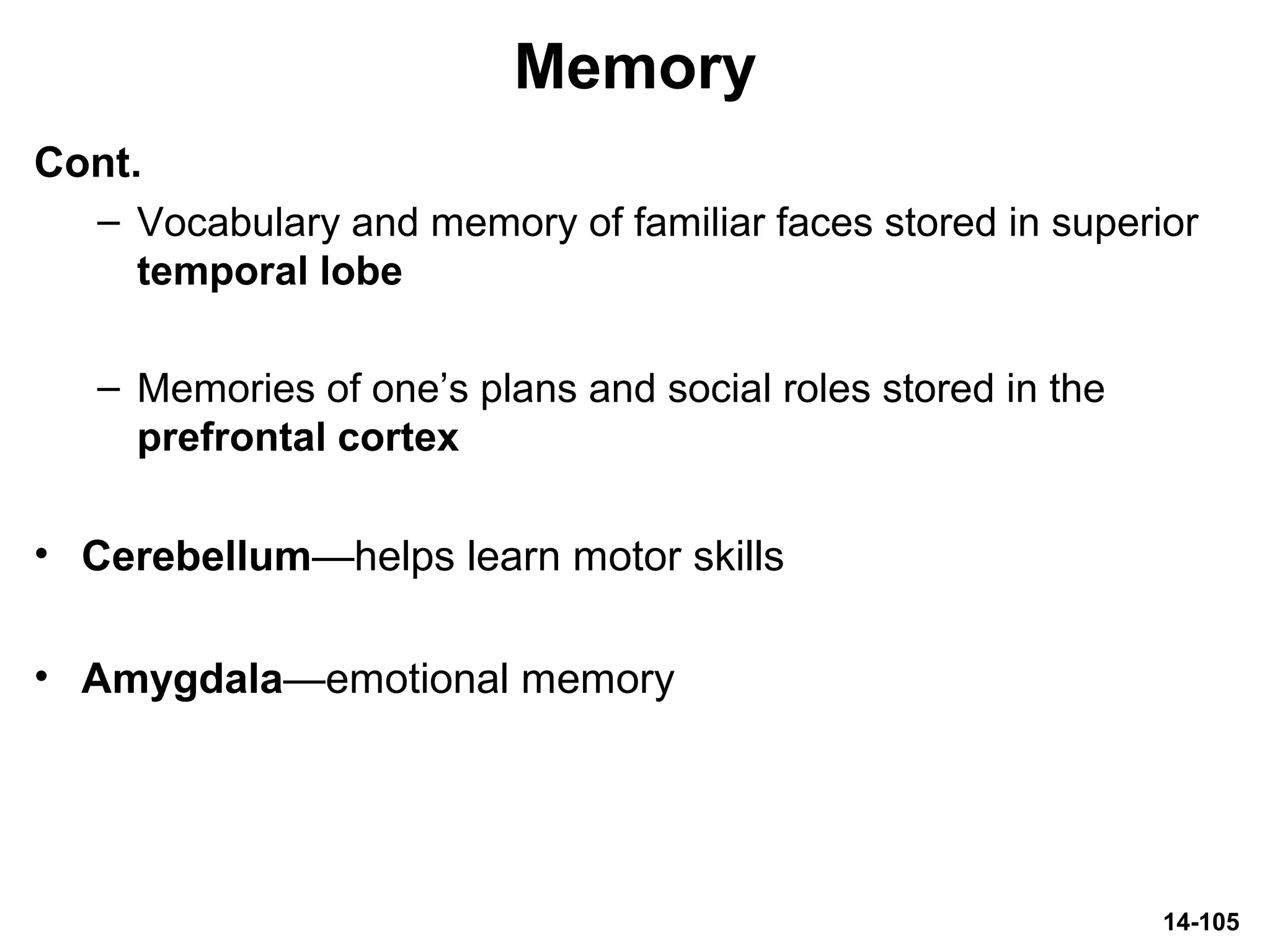14-105
Memory
Cont.
– Vocabulary and memory of familiar faces stored in superior
temporal lobe
– Memories of one’s plans and social roles stored in the
prefrontal cortex
• Cerebellum—helps learn motor skills
• Amygdala—emotional memory
 