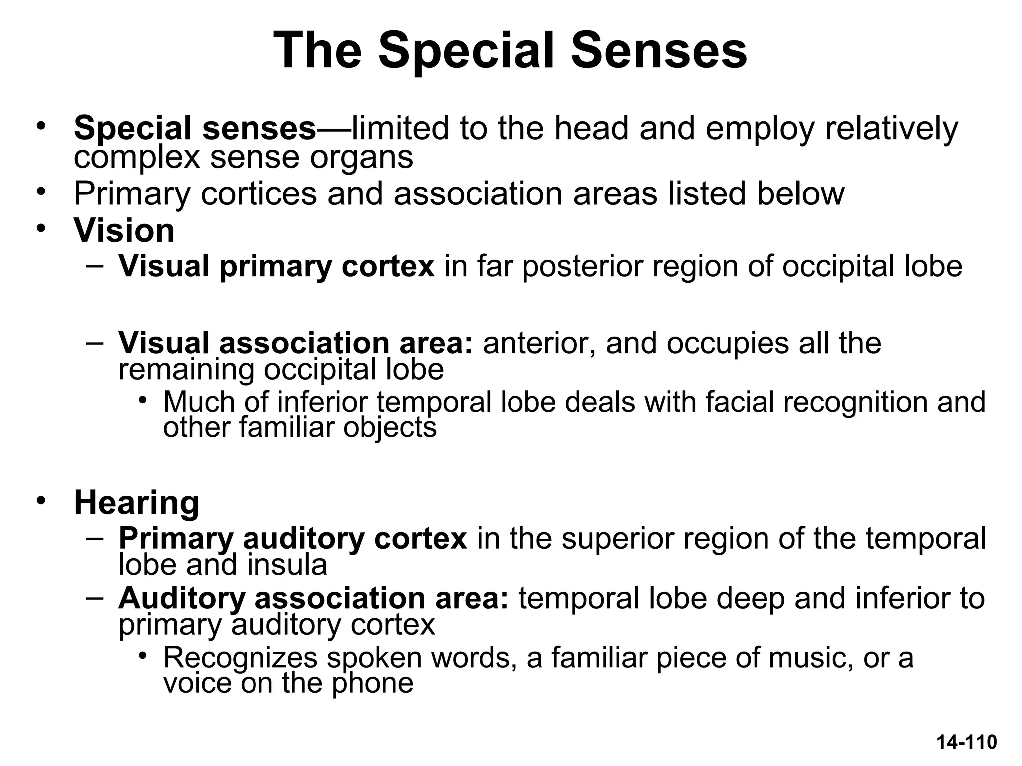 14-110
The Special Senses
• Special senses—limited to the head and employ relatively
complex sense organs
• Primary cortices and association areas listed below
• Vision
– Visual primary cortex in far posterior region of occipital lobe
– Visual association area: anterior, and occupies all the
remaining occipital lobe
• Much of inferior temporal lobe deals with facial recognition and
other familiar objects
• Hearing
– Primary auditory cortex in the superior region of the temporal
lobe and insula
– Auditory association area: temporal lobe deep and inferior to
primary auditory cortex
• Recognizes spoken words, a familiar piece of music, or a
voice on the phone
 