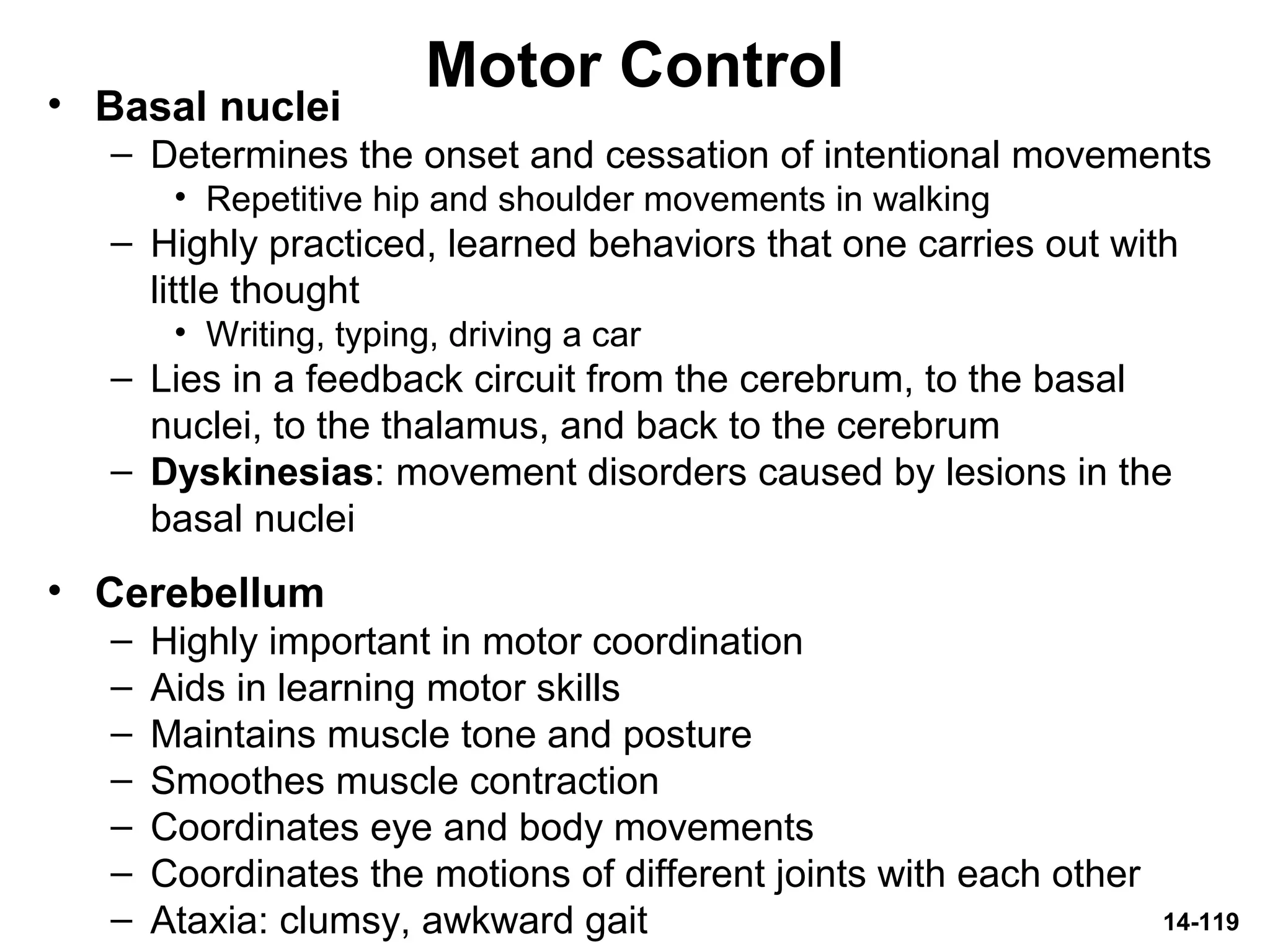 14-119
Motor Control• Basal nuclei
– Determines the onset and cessation of intentional movements
• Repetitive hip and shoulder movements in walking
– Highly practiced, learned behaviors that one carries out with
little thought
• Writing, typing, driving a car
– Lies in a feedback circuit from the cerebrum, to the basal
nuclei, to the thalamus, and back to the cerebrum
– Dyskinesias: movement disorders caused by lesions in the
basal nuclei
• Cerebellum
– Highly important in motor coordination
– Aids in learning motor skills
– Maintains muscle tone and posture
– Smoothes muscle contraction
– Coordinates eye and body movements
– Coordinates the motions of different joints with each other
– Ataxia: clumsy, awkward gait
 