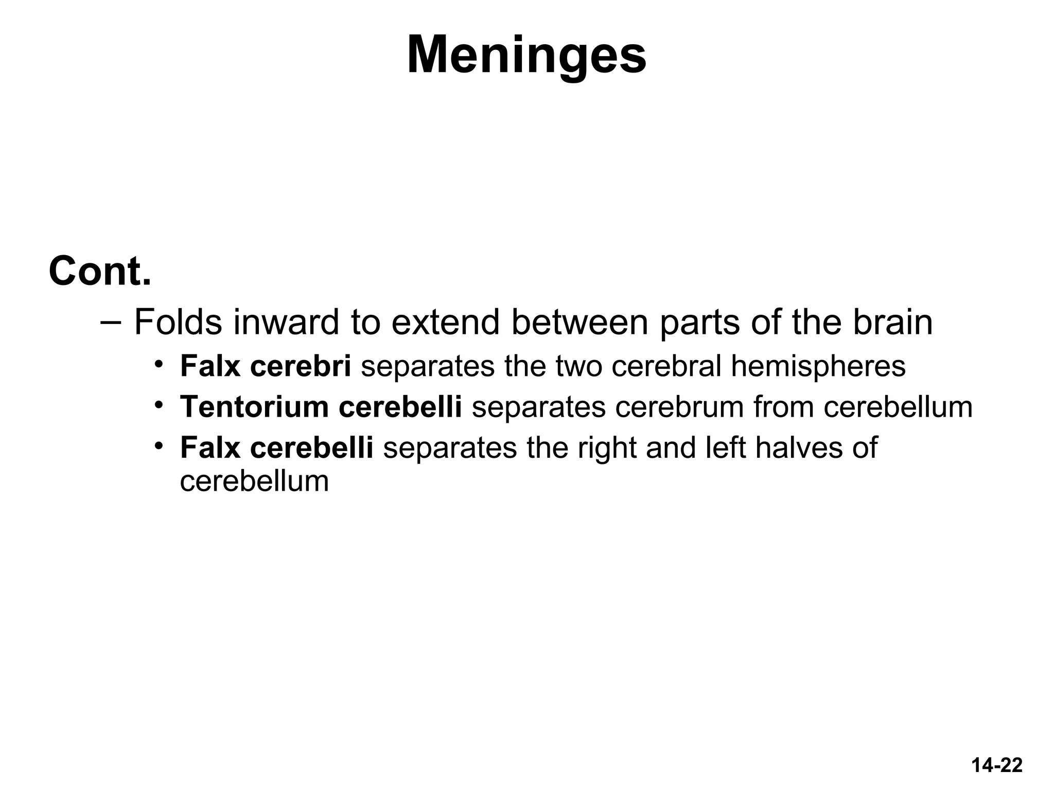 14-22
Meninges
Cont.
– Folds inward to extend between parts of the brain
• Falx cerebri separates the two cerebral hemispheres
• Tentorium cerebelli separates cerebrum from cerebellum
• Falx cerebelli separates the right and left halves of
cerebellum
 