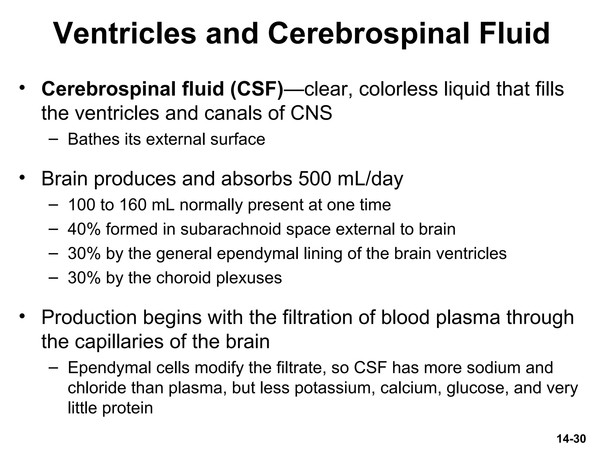 14-30
Ventricles and Cerebrospinal Fluid
• Cerebrospinal fluid (CSF)—clear, colorless liquid that fills
the ventricles and canals of CNS
– Bathes its external surface
• Brain produces and absorbs 500 mL/day
– 100 to 160 mL normally present at one time
– 40% formed in subarachnoid space external to brain
– 30% by the general ependymal lining of the brain ventricles
– 30% by the choroid plexuses
• Production begins with the filtration of blood plasma through
the capillaries of the brain
– Ependymal cells modify the filtrate, so CSF has more sodium and
chloride than plasma, but less potassium, calcium, glucose, and very
little protein
 