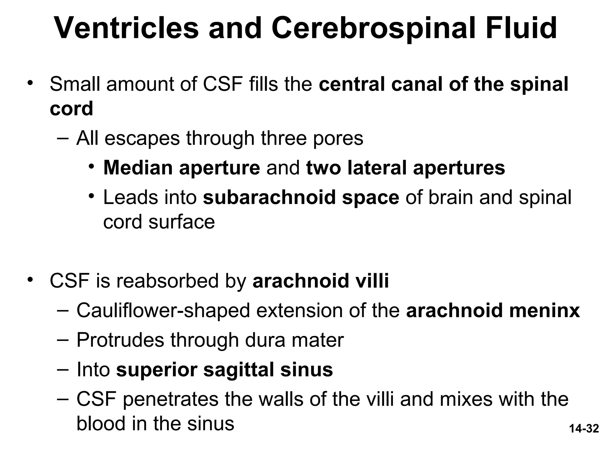 14-32
Ventricles and Cerebrospinal Fluid
• Small amount of CSF fills the central canal of the spinal
cord
– All escapes through three pores
• Median aperture and two lateral apertures
• Leads into subarachnoid space of brain and spinal
cord surface
• CSF is reabsorbed by arachnoid villi
– Cauliflower-shaped extension of the arachnoid meninx
– Protrudes through dura mater
– Into superior sagittal sinus
– CSF penetrates the walls of the villi and mixes with the
blood in the sinus
 