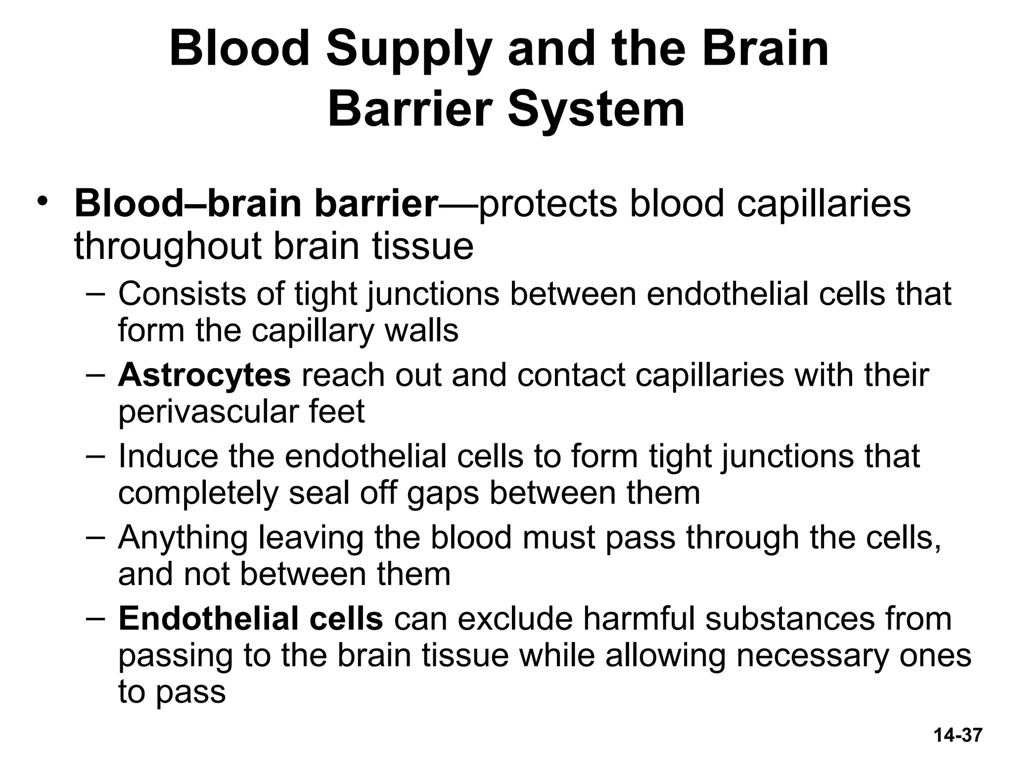 14-37
Blood Supply and the Brain
Barrier System
• Blood–brain barrier—protects blood capillaries
throughout brain tissue
– Consists of tight junctions between endothelial cells that
form the capillary walls
– Astrocytes reach out and contact capillaries with their
perivascular feet
– Induce the endothelial cells to form tight junctions that
completely seal off gaps between them
– Anything leaving the blood must pass through the cells,
and not between them
– Endothelial cells can exclude harmful substances from
passing to the brain tissue while allowing necessary ones
to pass
 