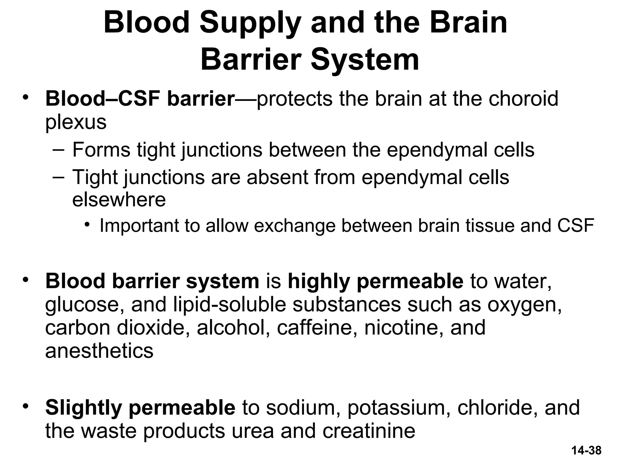 14-38
Blood Supply and the Brain
Barrier System
• Blood–CSF barrier—protects the brain at the choroid
plexus
– Forms tight junctions between the ependymal cells
– Tight junctions are absent from ependymal cells
elsewhere
• Important to allow exchange between brain tissue and CSF
• Blood barrier system is highly permeable to water,
glucose, and lipid-soluble substances such as oxygen,
carbon dioxide, alcohol, caffeine, nicotine, and
anesthetics
• Slightly permeable to sodium, potassium, chloride, and
the waste products urea and creatinine
 