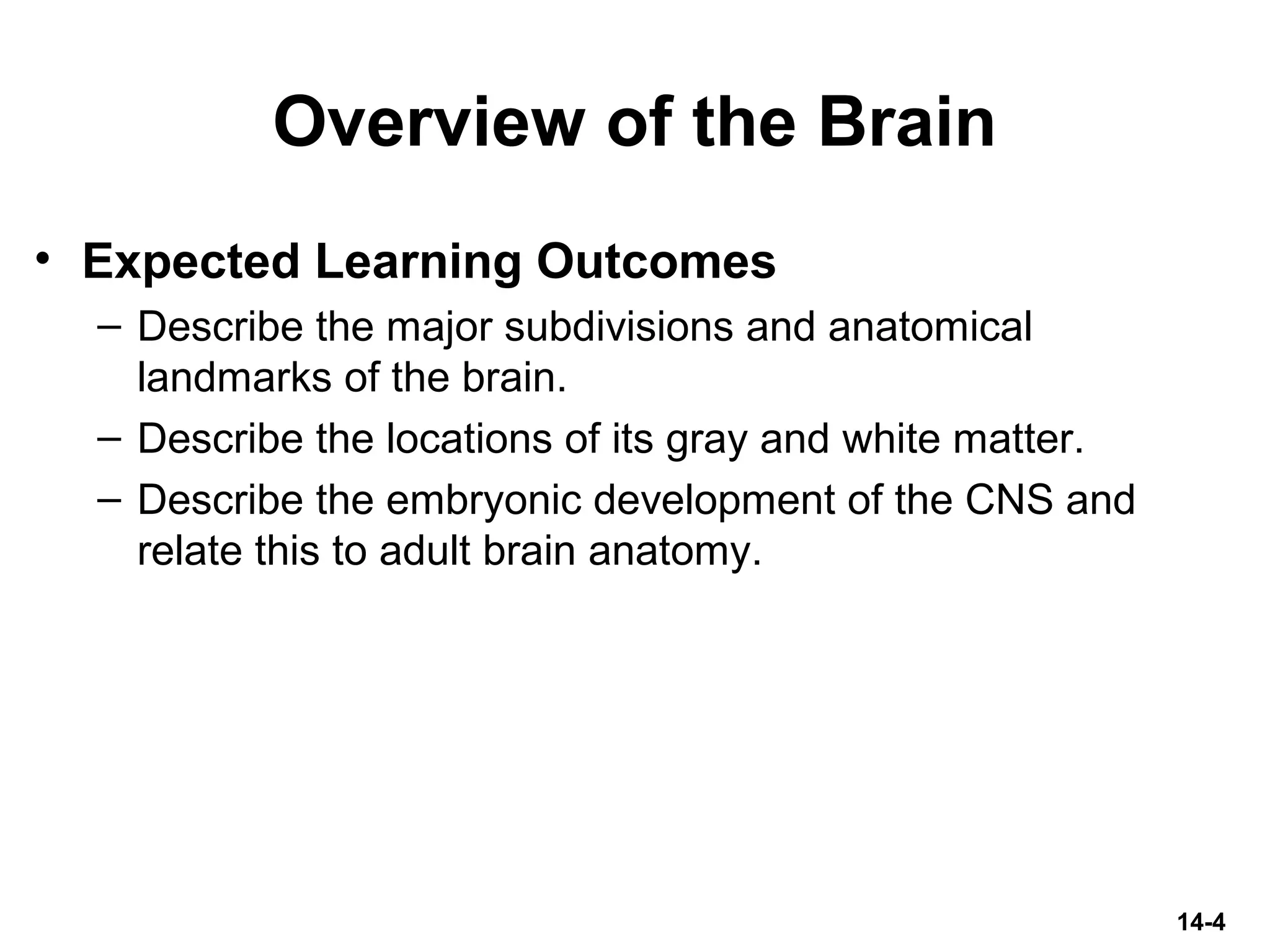 Overview of the Brain
• Expected Learning Outcomes
– Describe the major subdivisions and anatomical
landmarks of the brain.
– Describe the locations of its gray and white matter.
– Describe the embryonic development of the CNS and
relate this to adult brain anatomy.
14-4
 