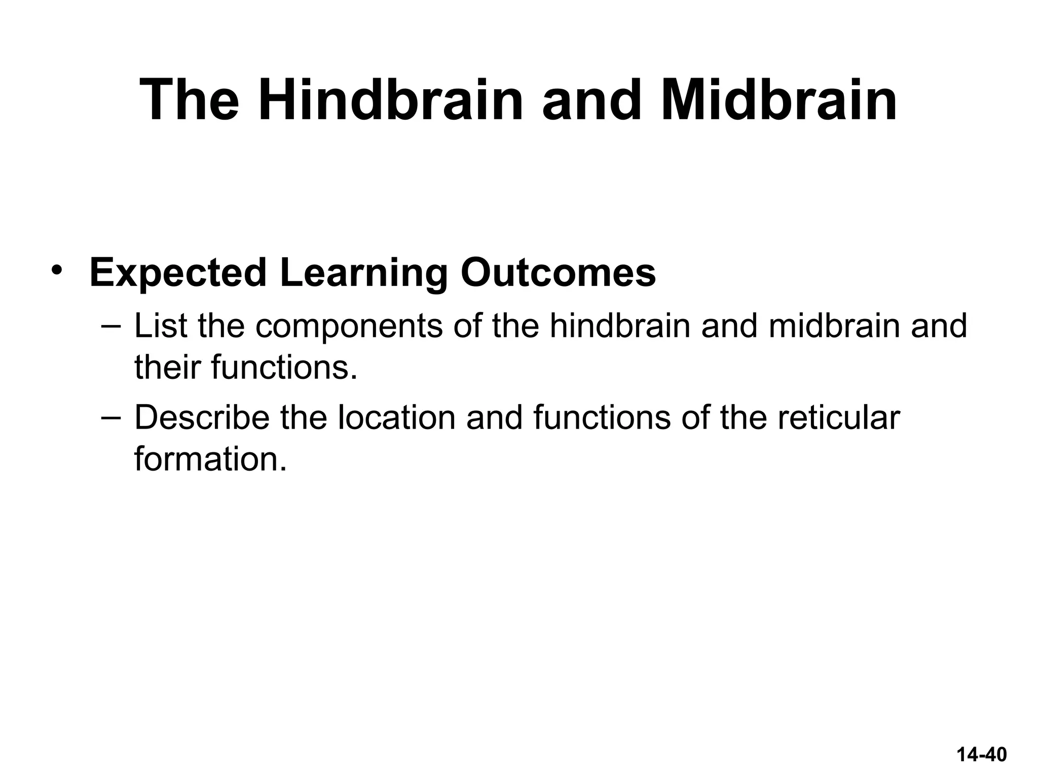 The Hindbrain and Midbrain
• Expected Learning Outcomes
– List the components of the hindbrain and midbrain and
their functions.
– Describe the location and functions of the reticular
formation.
14-40
 