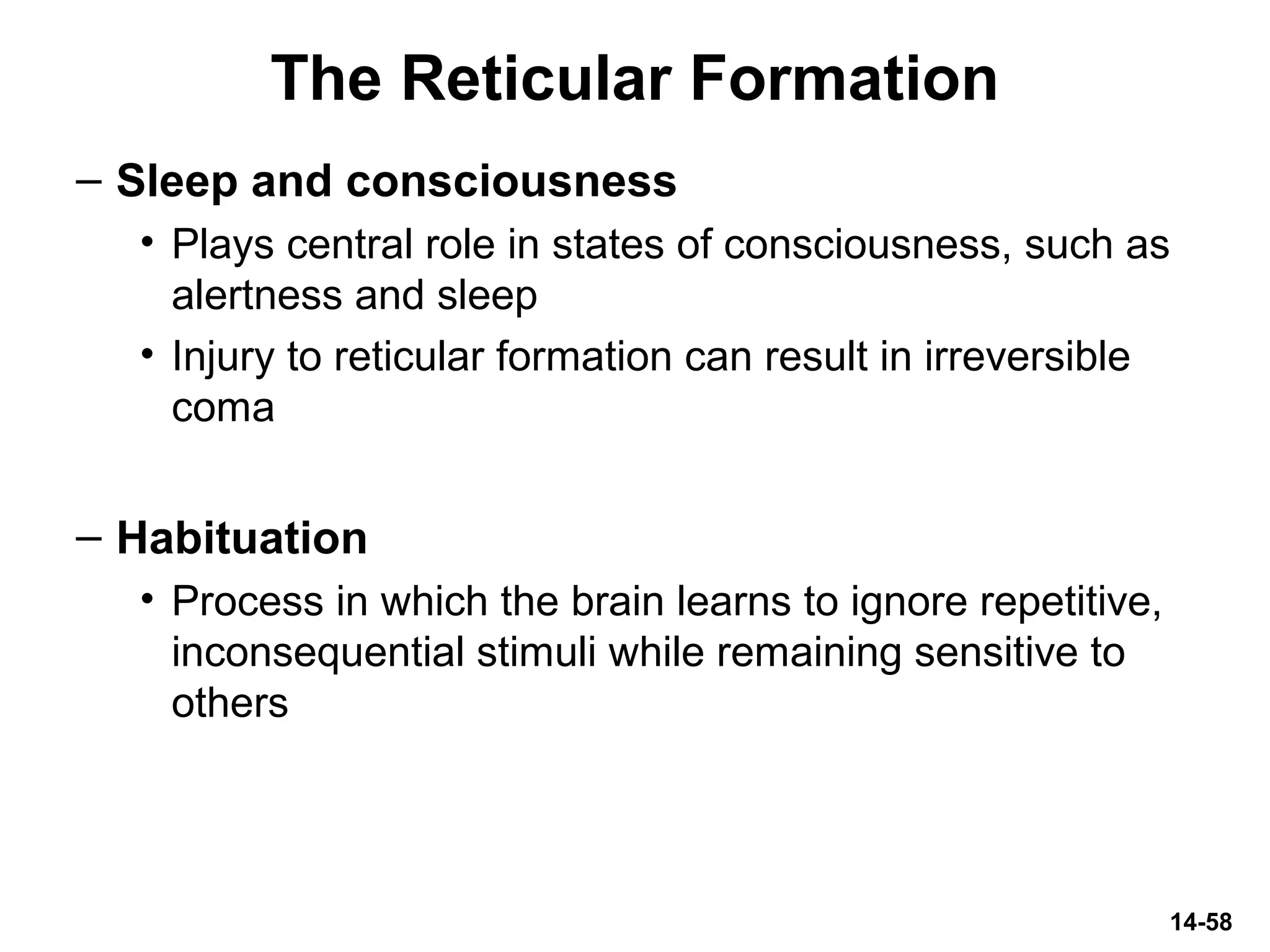 14-58
The Reticular Formation
– Sleep and consciousness
• Plays central role in states of consciousness, such as
alertness and sleep
• Injury to reticular formation can result in irreversible
coma
– Habituation
• Process in which the brain learns to ignore repetitive,
inconsequential stimuli while remaining sensitive to
others
 