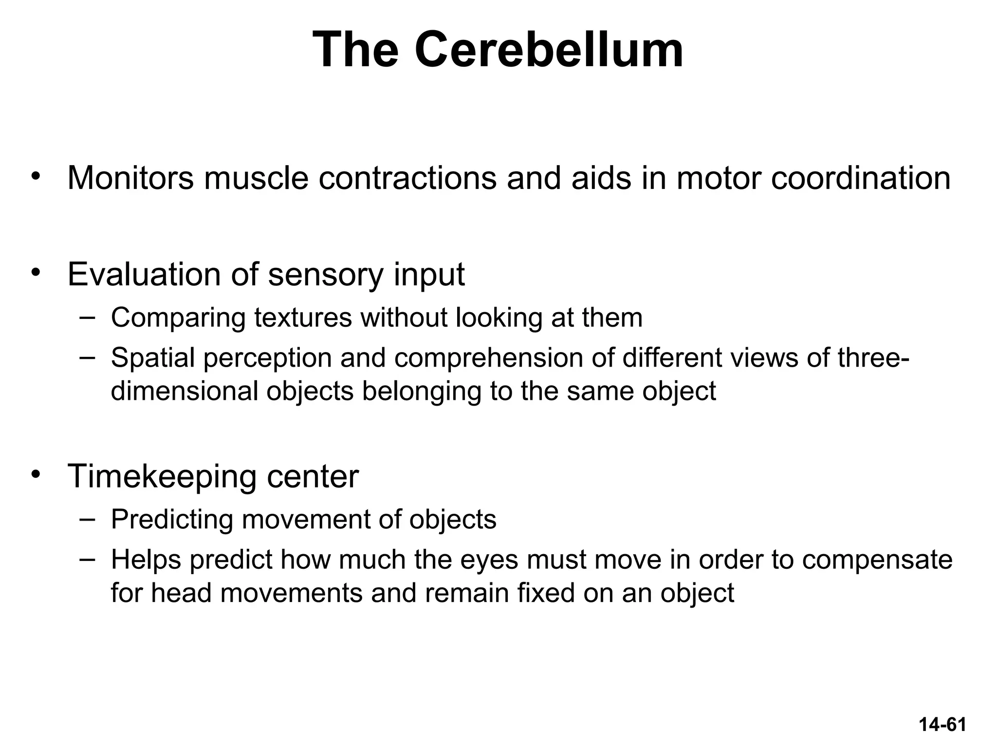14-61
The Cerebellum
• Monitors muscle contractions and aids in motor coordination
• Evaluation of sensory input
– Comparing textures without looking at them
– Spatial perception and comprehension of different views of three-
dimensional objects belonging to the same object
• Timekeeping center
– Predicting movement of objects
– Helps predict how much the eyes must move in order to compensate
for head movements and remain fixed on an object
 