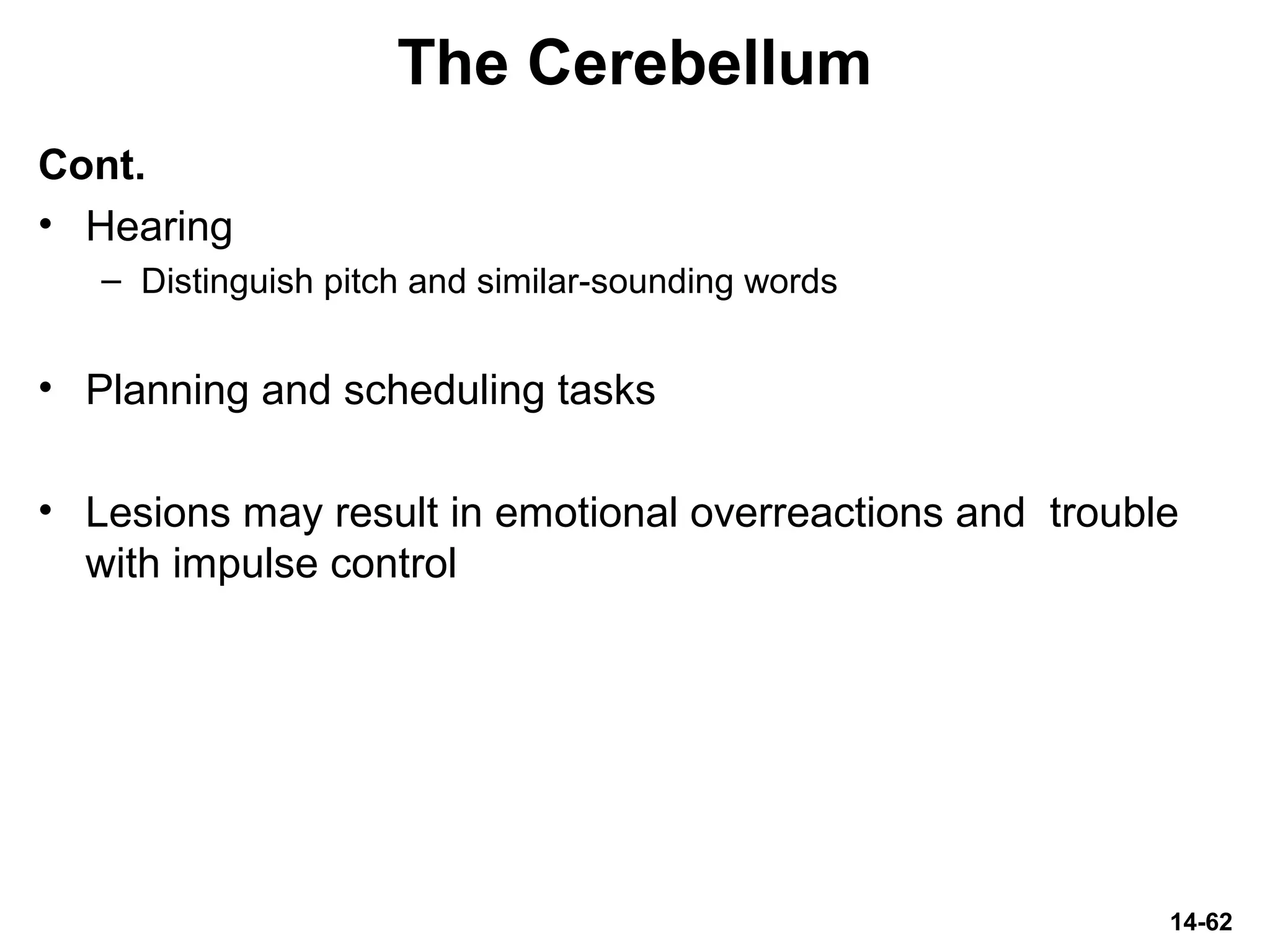 14-62
The Cerebellum
Cont.
• Hearing
– Distinguish pitch and similar-sounding words
• Planning and scheduling tasks
• Lesions may result in emotional overreactions and trouble
with impulse control
 