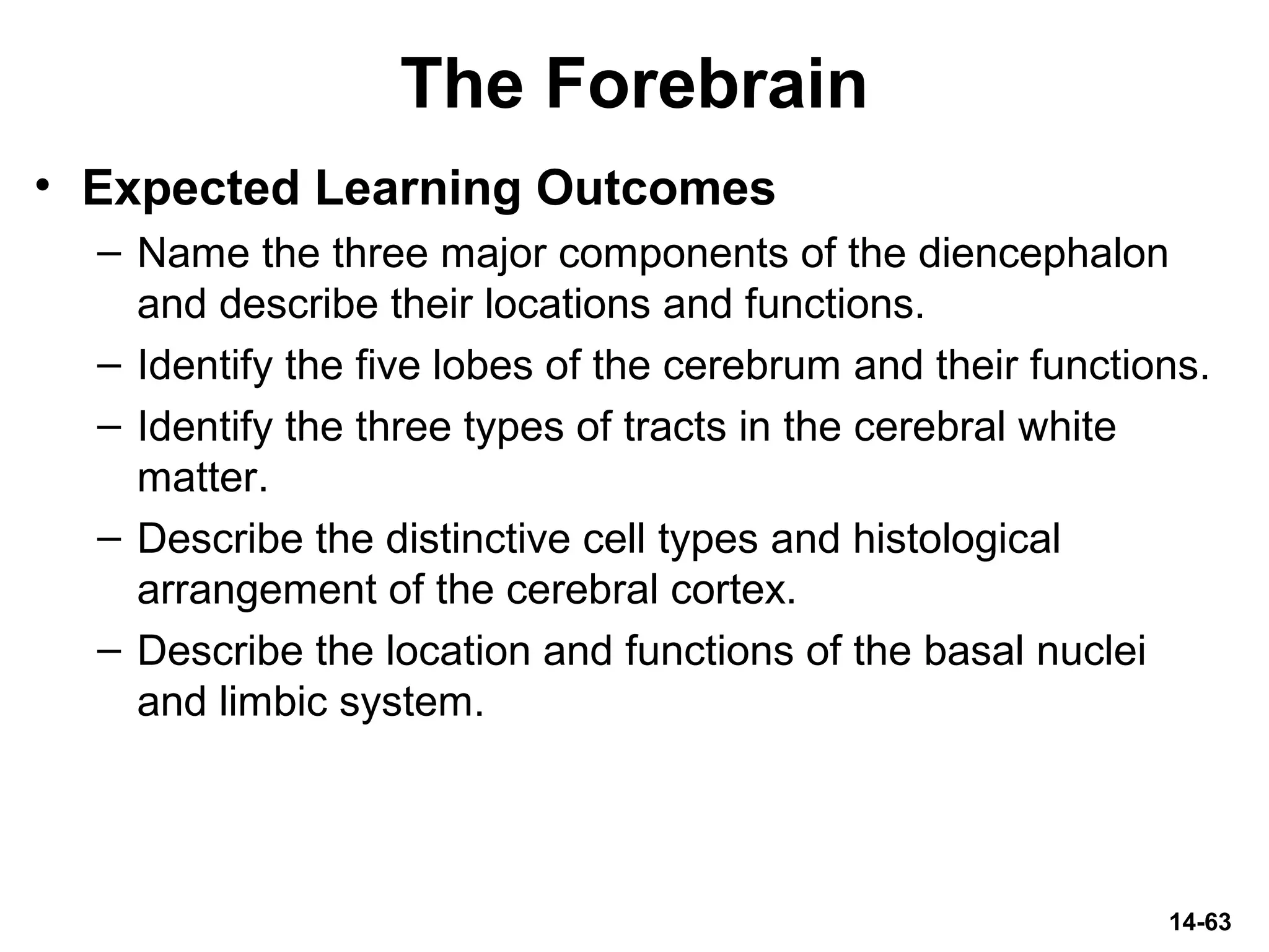 The Forebrain
• Expected Learning Outcomes
– Name the three major components of the diencephalon
and describe their locations and functions.
– Identify the five lobes of the cerebrum and their functions.
– Identify the three types of tracts in the cerebral white
matter.
– Describe the distinctive cell types and histological
arrangement of the cerebral cortex.
– Describe the location and functions of the basal nuclei
and limbic system.
14-63
 