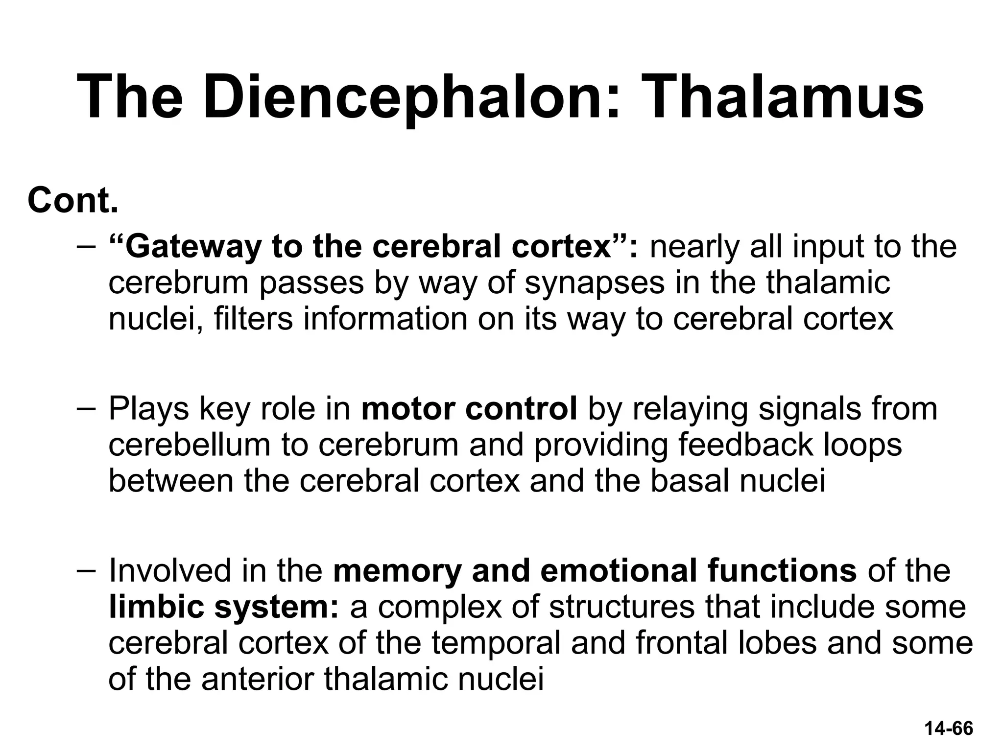 The Diencephalon: Thalamus
Cont.
– “Gateway to the cerebral cortex”: nearly all input to the
cerebrum passes by way of synapses in the thalamic
nuclei, filters information on its way to cerebral cortex
– Plays key role in motor control by relaying signals from
cerebellum to cerebrum and providing feedback loops
between the cerebral cortex and the basal nuclei
– Involved in the memory and emotional functions of the
limbic system: a complex of structures that include some
cerebral cortex of the temporal and frontal lobes and some
of the anterior thalamic nuclei
14-66
 