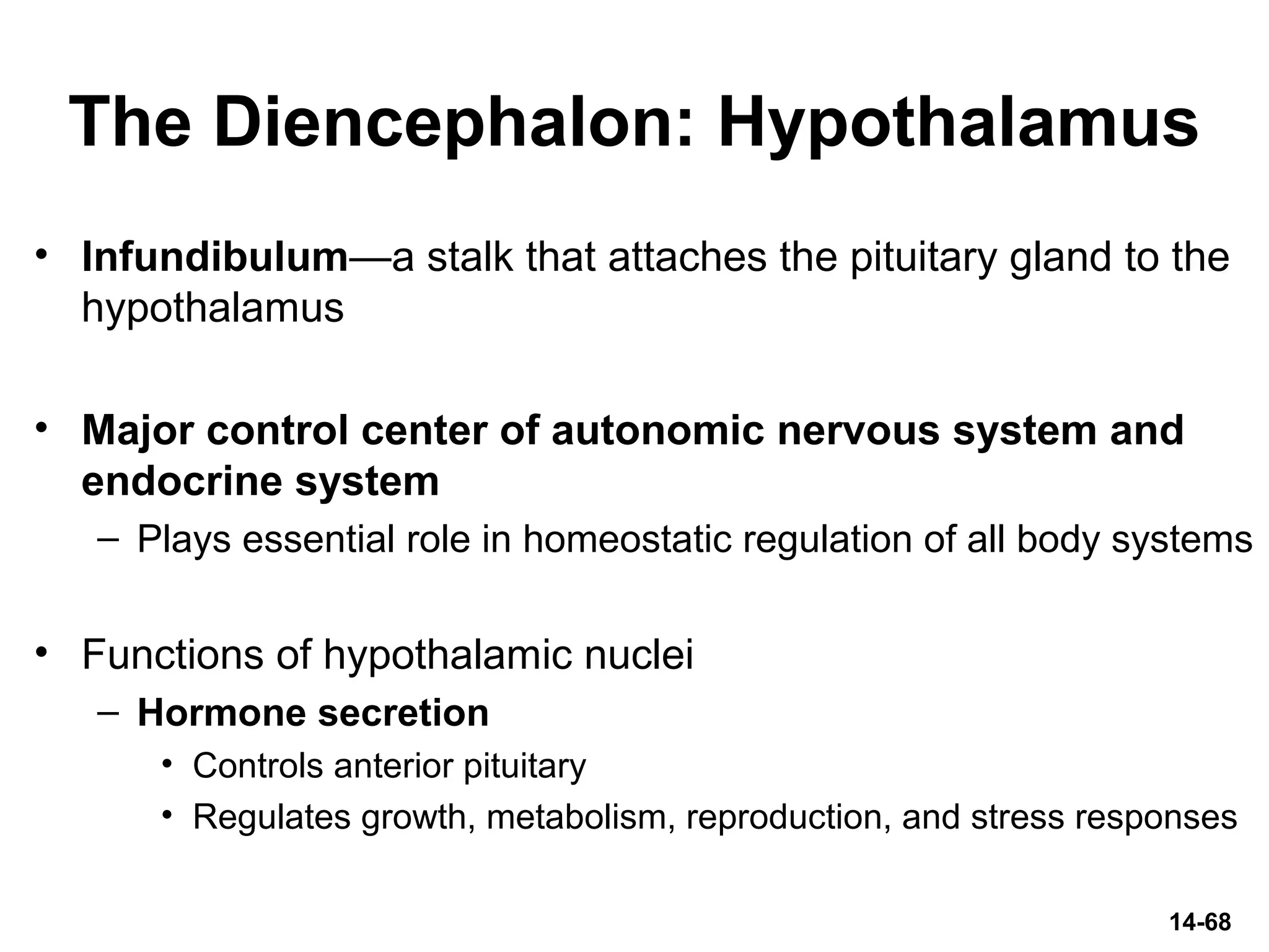 The Diencephalon: Hypothalamus
• Infundibulum—a stalk that attaches the pituitary gland to the
hypothalamus
• Major control center of autonomic nervous system and
endocrine system
– Plays essential role in homeostatic regulation of all body systems
• Functions of hypothalamic nuclei
– Hormone secretion
• Controls anterior pituitary
• Regulates growth, metabolism, reproduction, and stress responses
14-68
 
