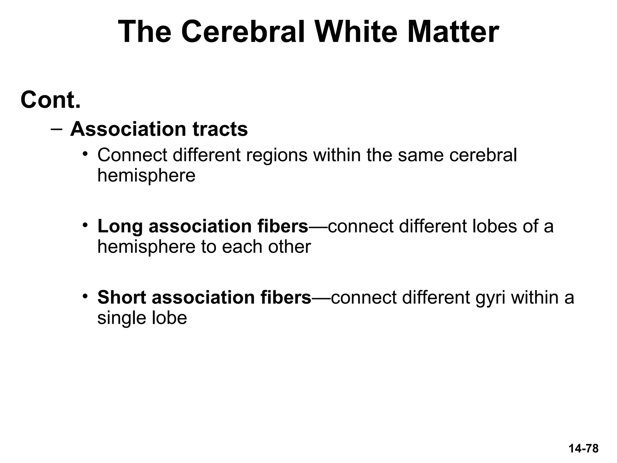 14-78
The Cerebral White Matter
Cont.
– Association tracts
• Connect different regions within the same cerebral
hemisphere
• Long association fibers—connect different lobes of a
hemisphere to each other
• Short association fibers—connect different gyri within a
single lobe
 