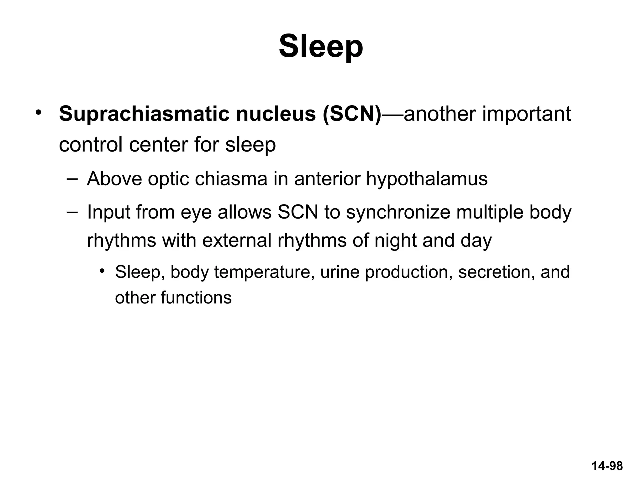 14-98
Sleep
• Suprachiasmatic nucleus (SCN)—another important
control center for sleep
– Above optic chiasma in anterior hypothalamus
– Input from eye allows SCN to synchronize multiple body
rhythms with external rhythms of night and day
• Sleep, body temperature, urine production, secretion, and
other functions
 