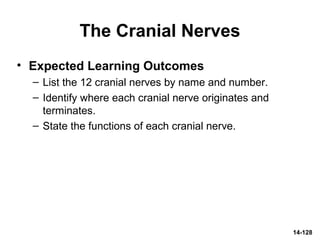 The Cranial Nerves
• Expected Learning Outcomes
– List the 12 cranial nerves by name and number.
– Identify where each cranial nerve originates and
terminates.
– State the functions of each cranial nerve.
14-128
 