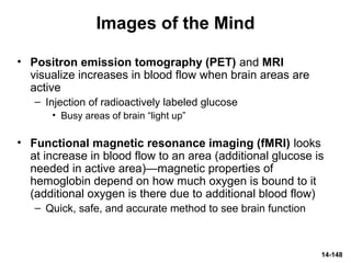 14-148
Images of the Mind
• Positron emission tomography (PET) and MRI
visualize increases in blood flow when brain areas are
active
– Injection of radioactively labeled glucose
• Busy areas of brain “light up”
• Functional magnetic resonance imaging (fMRI) looks
at increase in blood flow to an area (additional glucose is
needed in active area)—magnetic properties of
hemoglobin depend on how much oxygen is bound to it
(additional oxygen is there due to additional blood flow)
– Quick, safe, and accurate method to see brain function
 