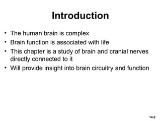 Introduction
• The human brain is complex
• Brain function is associated with life
• This chapter is a study of brain and cranial nerves
directly connected to it
• Will provide insight into brain circuitry and function
14-2
 