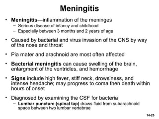 14-25
Meningitis
• Meningitis—inflammation of the meninges
– Serious disease of infancy and childhood
– Especially between 3 months and 2 years of age
• Caused by bacterial and virus invasion of the CNS by way
of the nose and throat
• Pia mater and arachnoid are most often affected
• Bacterial meningitis can cause swelling of the brain,
enlargment of the ventricles, and hemorrhage
• Signs include high fever, stiff neck, drowsiness, and
intense headache; may progress to coma then death within
hours of onset
• Diagnosed by examining the CSF for bacteria
– Lumbar puncture (spinal tap) draws fluid from subarachnoid
space between two lumbar vertebrae
 