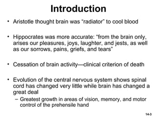 14-3
Introduction
• Aristotle thought brain was “radiator” to cool blood
• Hippocrates was more accurate: “from the brain only,
arises our pleasures, joys, laughter, and jests, as well
as our sorrows, pains, griefs, and tears”
• Cessation of brain activity—clinical criterion of death
• Evolution of the central nervous system shows spinal
cord has changed very little while brain has changed a
great deal
– Greatest growth in areas of vision, memory, and motor
control of the prehensile hand
 