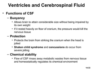 14-33
Ventricles and Cerebrospinal Fluid
• Functions of CSF
– Buoyancy
• Allows brain to attain considerable size without being impaired by
its own weight
• If it rested heavily on floor of cranium, the pressure would kill the
nervous tissue
– Protection
• Protects the brain from striking the cranium when the head is
jolted
• Shaken child syndrome and concussions do occur from
severe jolting
– Chemical stability
• Flow of CSF rinses away metabolic wastes from nervous tissue
and homeostatically regulates its chemical environment
 