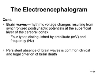 The Electroencephalogram
Cont.
• Brain waves—rhythmic voltage changes resulting from
synchronized postsynaptic potentials at the superficial
layer of the cerebral cortex
– Four types distinguished by amplitude (mV) and
frequency (Hz)
• Persistent absence of brain waves is common clinical
and legal criterion of brain death
14-91
 