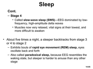 14-95
Sleep
Cont.
– Stage 4
• Called slow-wave sleep (SWS)—EEG dominated by low-
frequency, high-amplitude delta waves
• Muscles now very relaxed, vital signs at their lowest, and
more difficult to awaken
• About five times a night, a sleeper backtracks from stage 3
or 4 to stage 2
– Exhibits bouts of rapid eye movement (REM) sleep, eyes
oscillate back and forth
– Also called paradoxical sleep, because EEG resembles the
waking state, but sleeper is harder to arouse than any other
stage
 