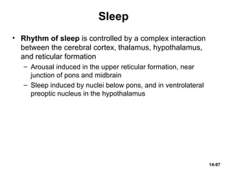 14-97
Sleep
• Rhythm of sleep is controlled by a complex interaction
between the cerebral cortex, thalamus, hypothalamus,
and reticular formation
– Arousal induced in the upper reticular formation, near
junction of pons and midbrain
– Sleep induced by nuclei below pons, and in ventrolateral
preoptic nucleus in the hypothalamus
 