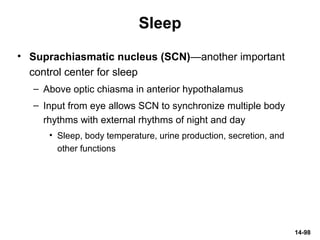 14-98
Sleep
• Suprachiasmatic nucleus (SCN)—another important
control center for sleep
– Above optic chiasma in anterior hypothalamus
– Input from eye allows SCN to synchronize multiple body
rhythms with external rhythms of night and day
• Sleep, body temperature, urine production, secretion, and
other functions
 